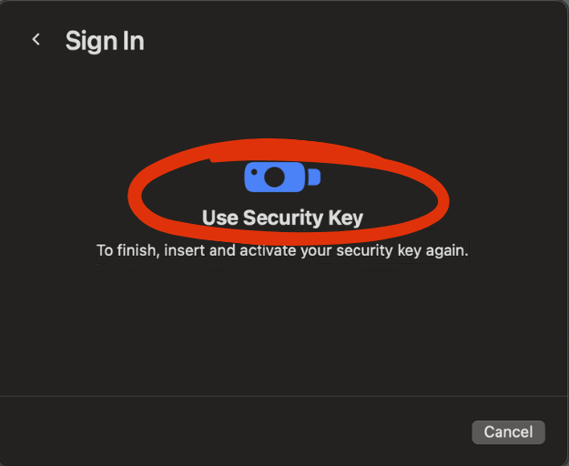 Accessing SB2 Url