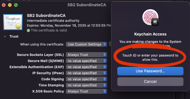 Import SB2 SubCA