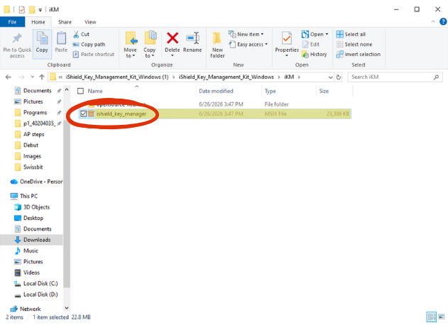 Download Swissbit Key Manager