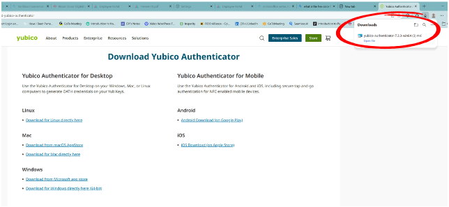 Download Yubico Authenticator